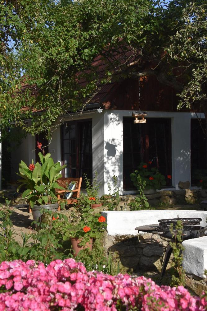Ubytovani Pod Jilmem Zar Exterior foto