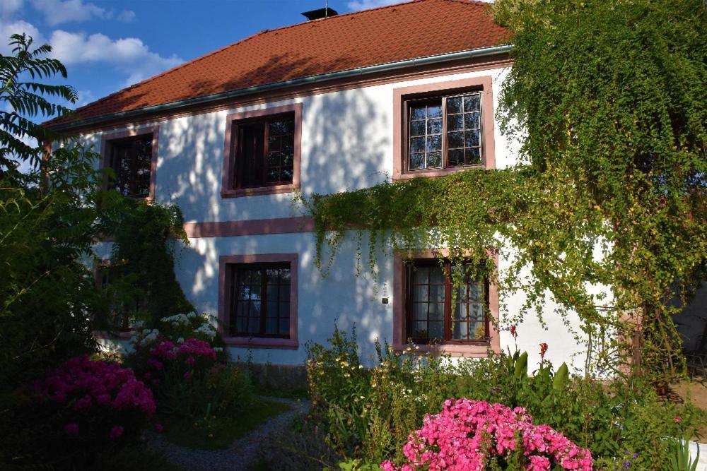 Ubytovani Pod Jilmem Zar Exterior foto